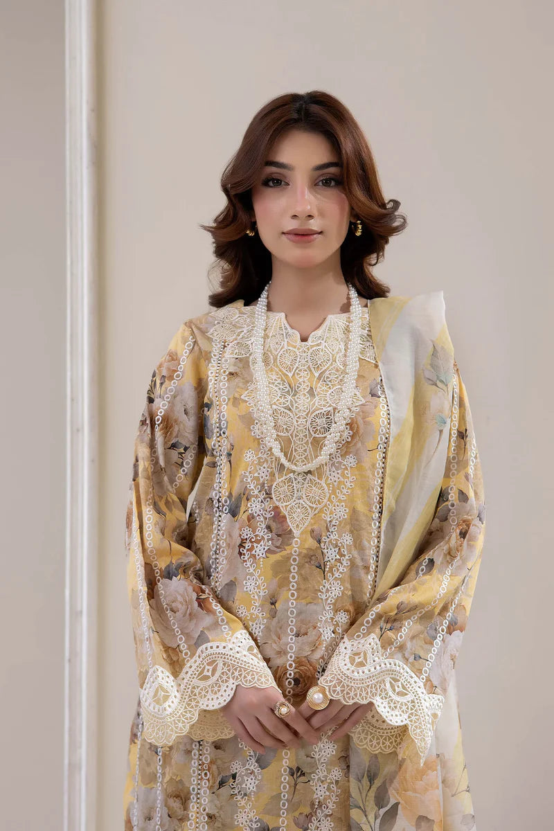 AAIRA 2050