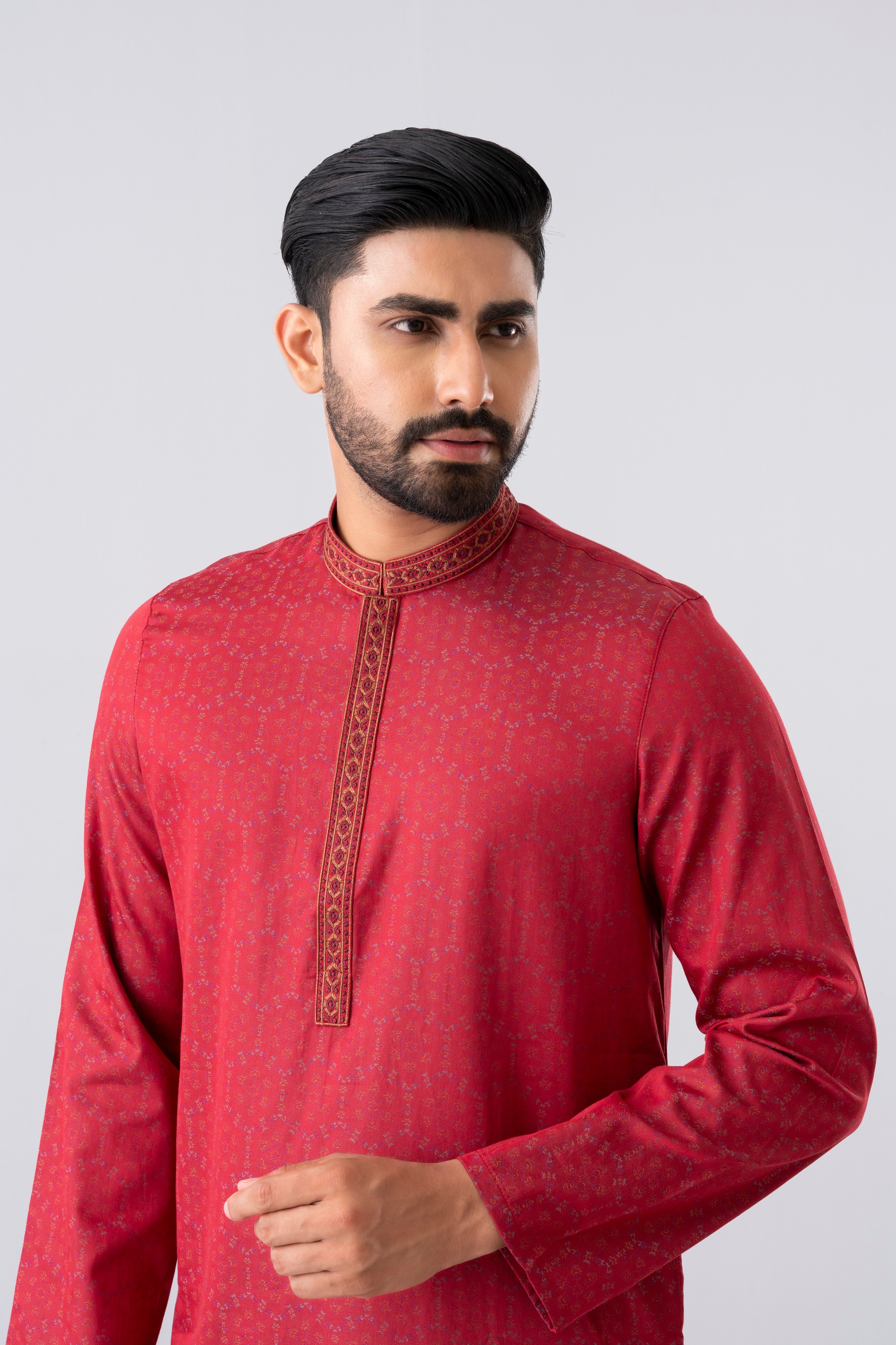 Regular Fit Embroidered Semi-Formal Panjabi